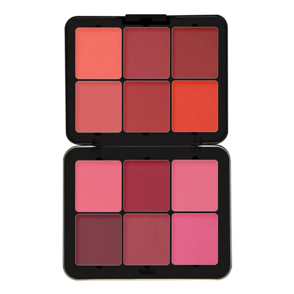 پالت رژگونه پودری فیوچر میکاپ FU104