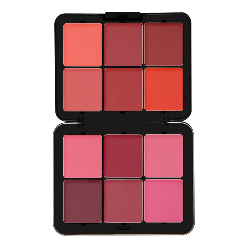 پالت رژگونه پودری فیوچر میکاپ FU104