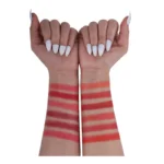 پالت رژگونه پودری فیوچر میکاپ FU104