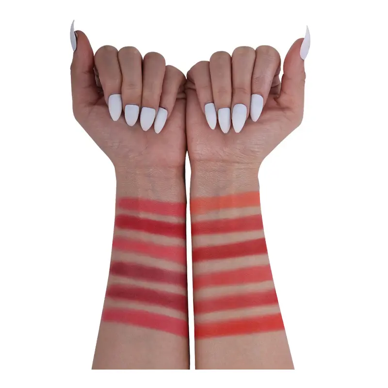 پالت رژگونه پودری فیوچر میکاپ FU104