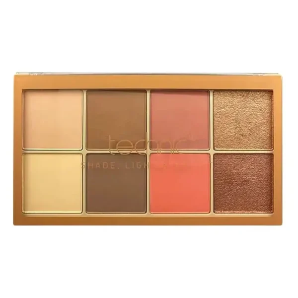 پالت صورت تکنیک