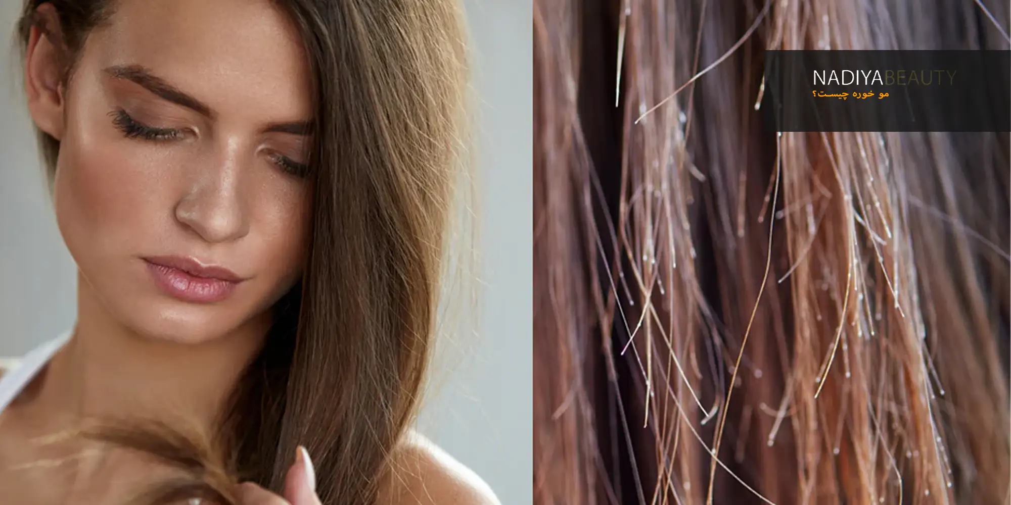 مو خوره چیست؟