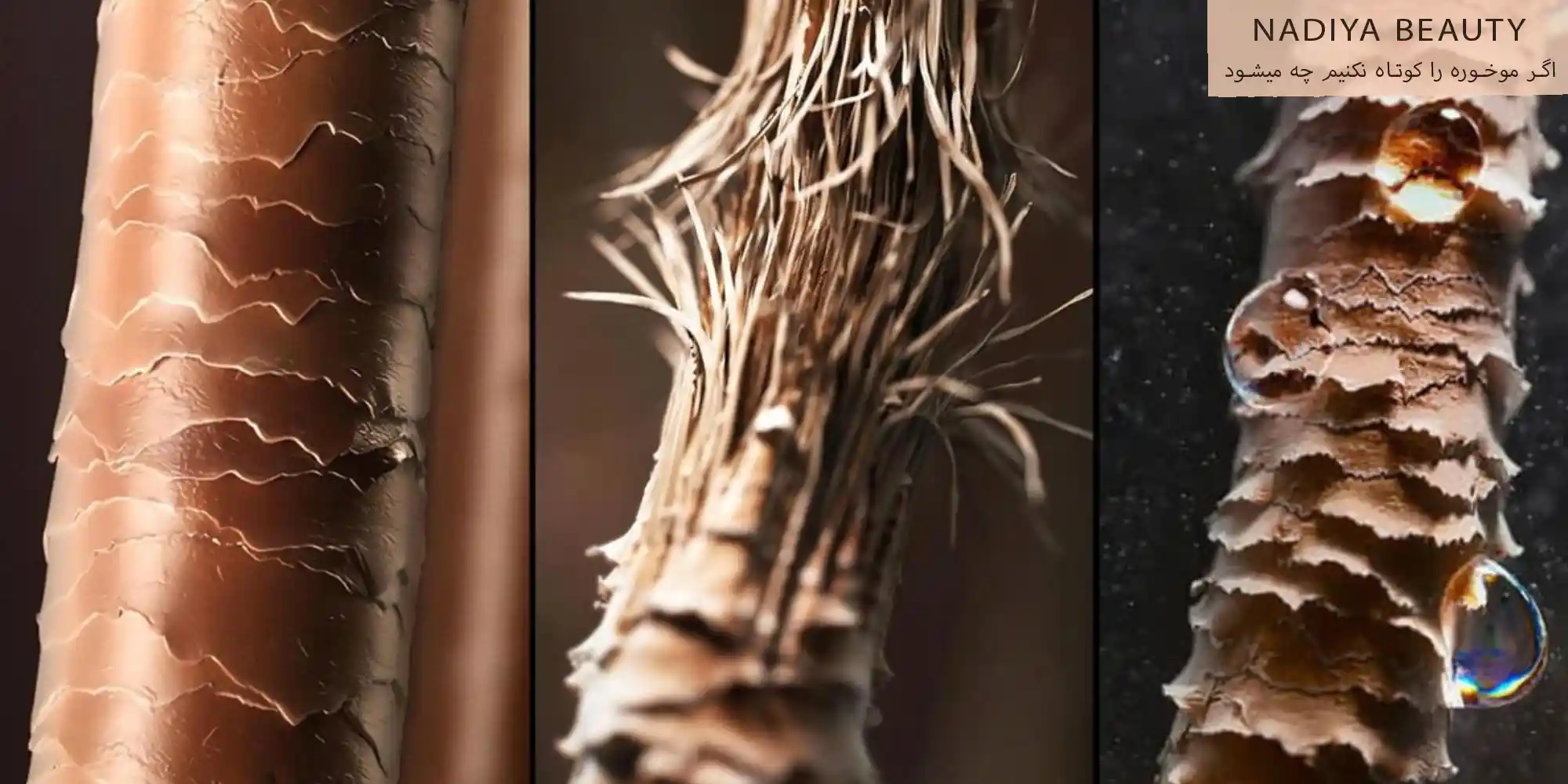 اگر موخوره را کوتاه نکنیم چه میشود